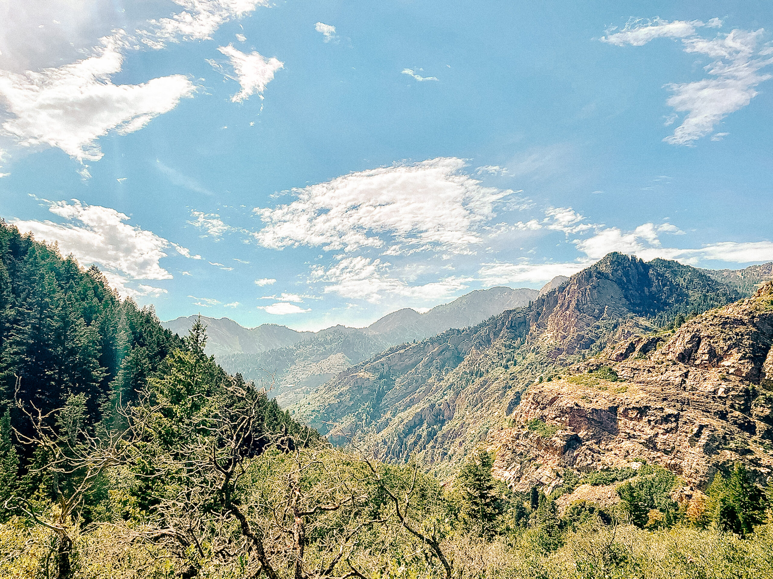 View of the right side of the trail, about 3 miles up to Lake Blanche, Big Cottonwood Canyon, just outside of Salt Lake City, Utah